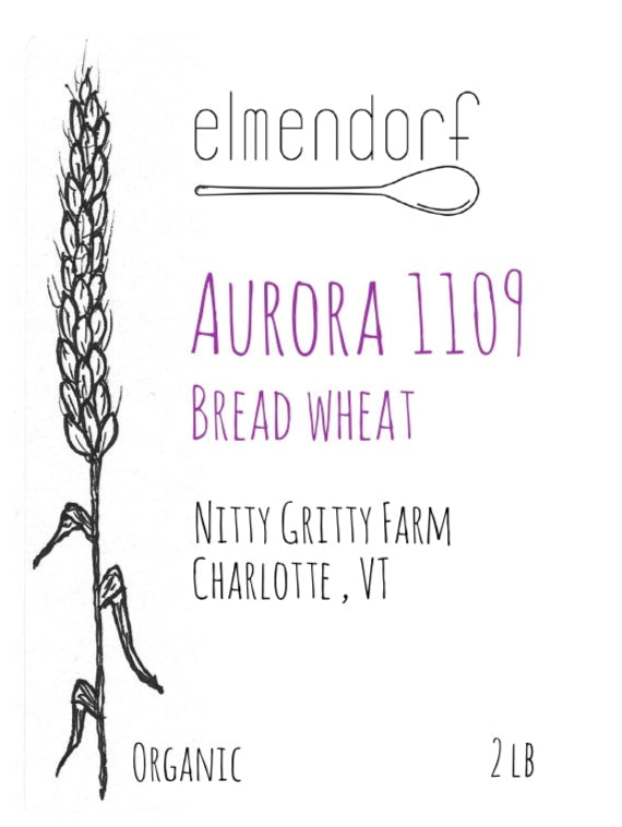 Aurora 1109 Wheat Flour & Grain