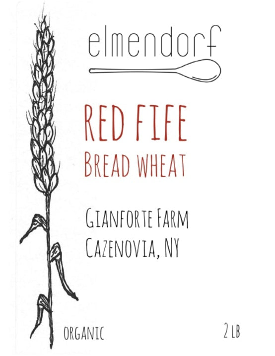 Heirloom Red Fife Wheat Flour & Grain